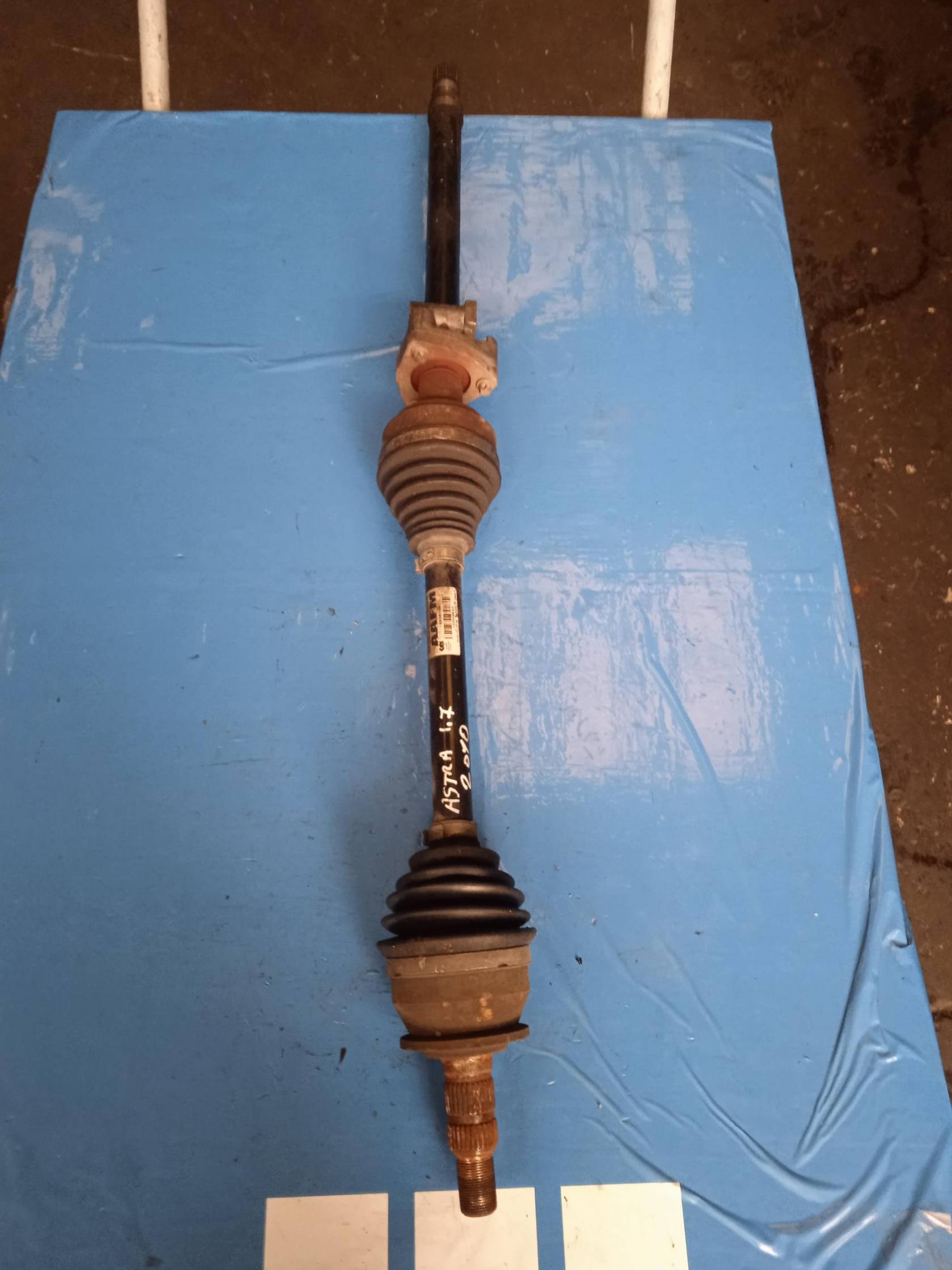 Semialbero ant. compl. dx.